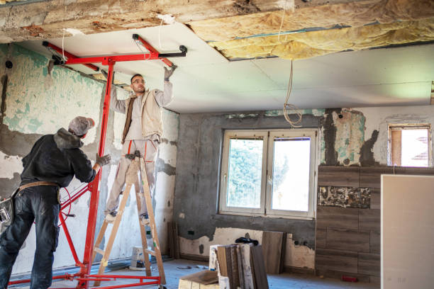 Best Professional Insulation Contractor  in Comstock Park, MI
