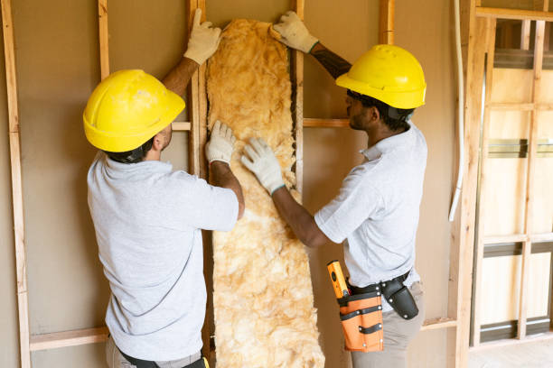 Insulation Contractors for Homes