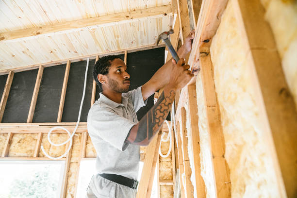 Best Home Insulation Services  in Comstock Park, MI