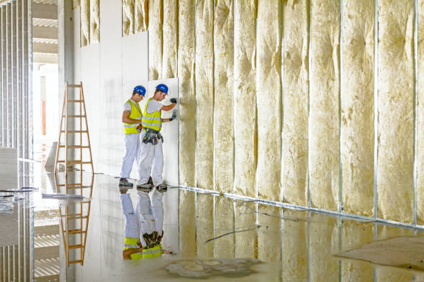 Best Insulation Contractors for Homes  in Comstock Park, MI